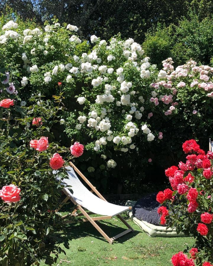 Lulu En Provence Bed & Breakfast L'Isle-sur-la-Sorgue Ngoại thất bức ảnh