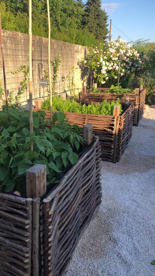 Lulu En Provence Bed & Breakfast L'Isle-sur-la-Sorgue Ngoại thất bức ảnh